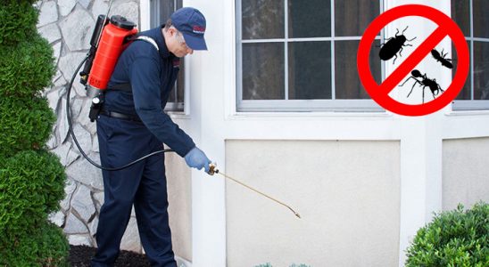 Çamardı Dezenfeksiyon böcek ilaçlama ve haşere kontrolü — ilaclama-tr.com